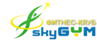Логотип компании SkyGym